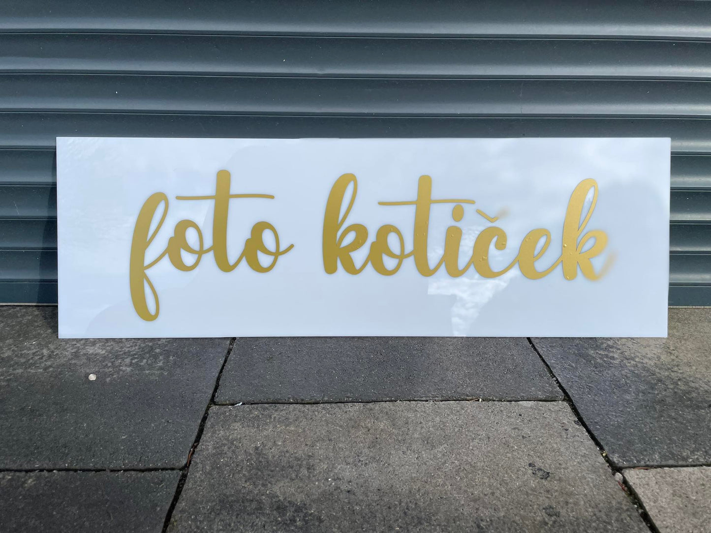 FOTO KOTIČEK